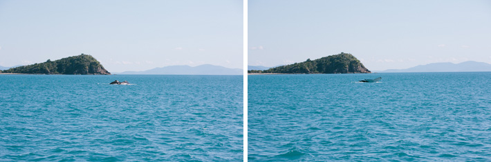 hayman-island-wedding-photos035