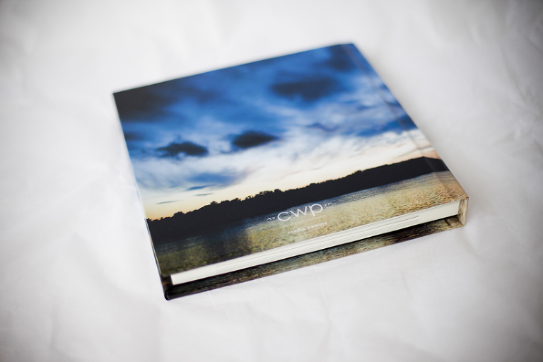 artistic wedding albums