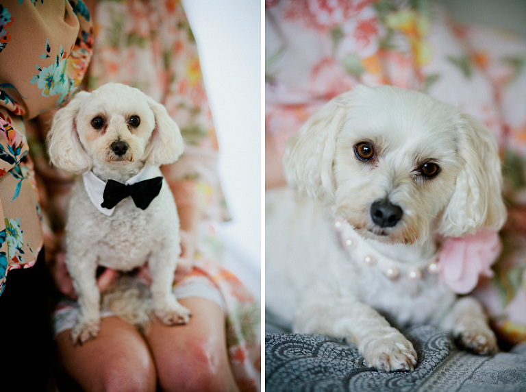 wedding photographers brisbane