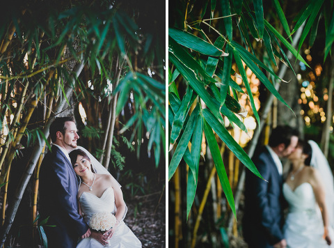 brisbane wedding photos