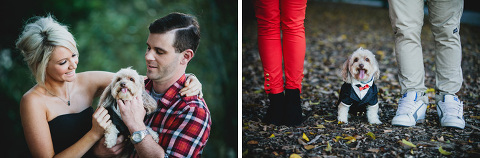 engagement photographer brisbane