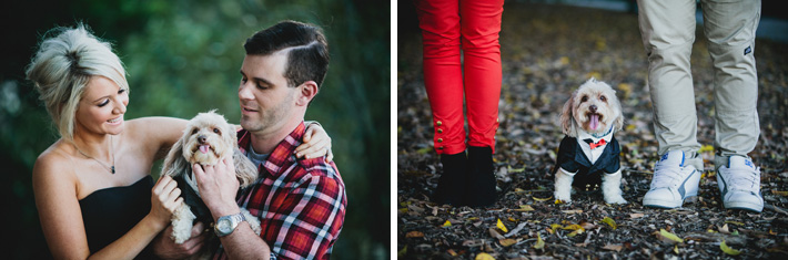 engagement photographer brisbane