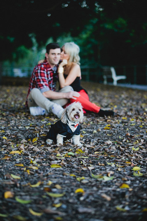 brisbane engagement photographer