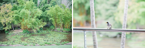 natural-wedding-photos