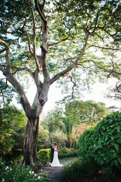 mount-coot-tha-botanic-gardens-wedding