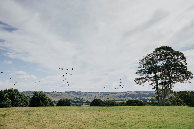 the orchard estate clunes 