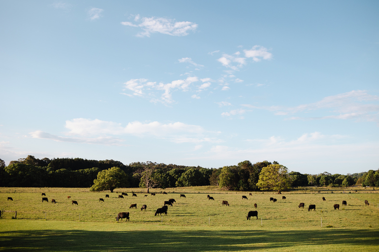 corporate event photography